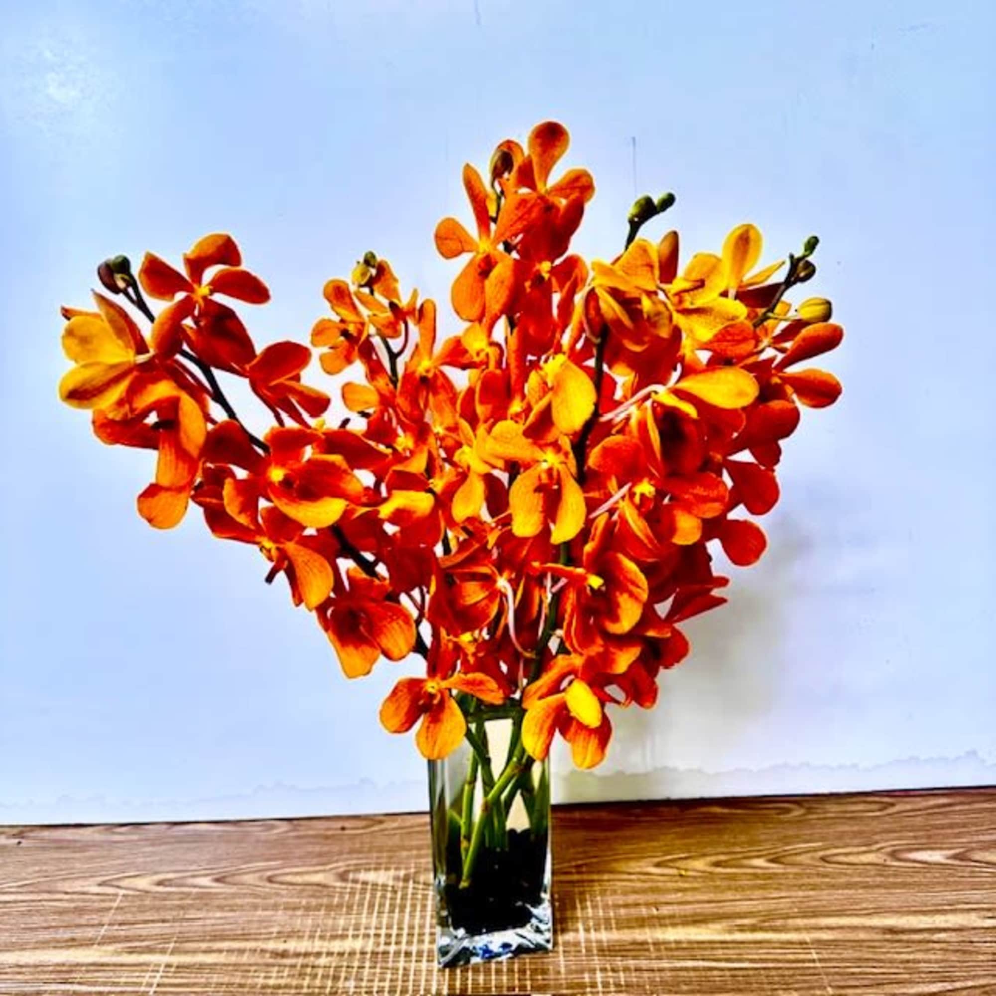 clear glass vase with a black stones and 5 orchids.
Orchids can be, photo 3 of 3