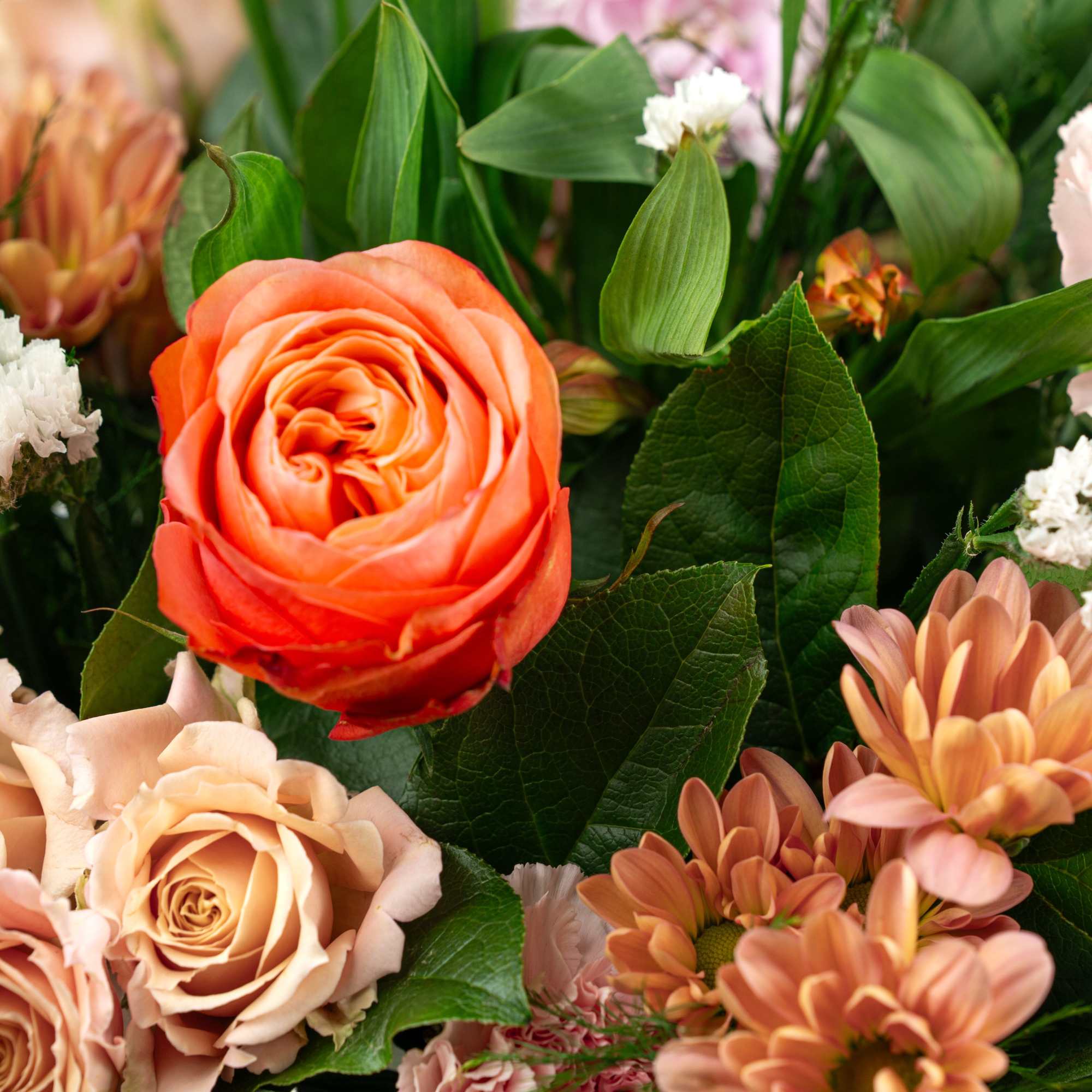 Mixed bouquet with orange and peach roses and peach daisies