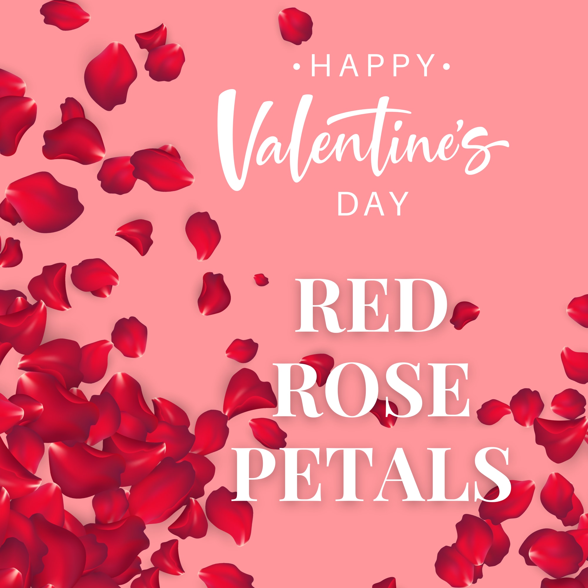 Pink Valentine’s Day graphic with scattered red rose petals and white text