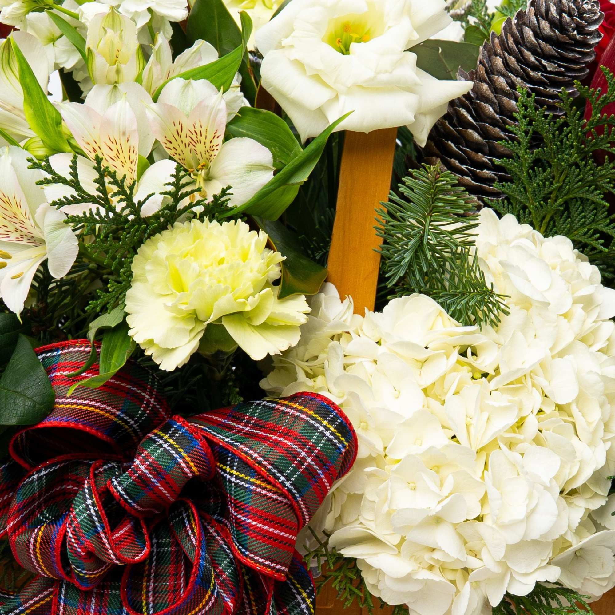 White flowers with red accents and a plaid ribbon in a holiday arrangement