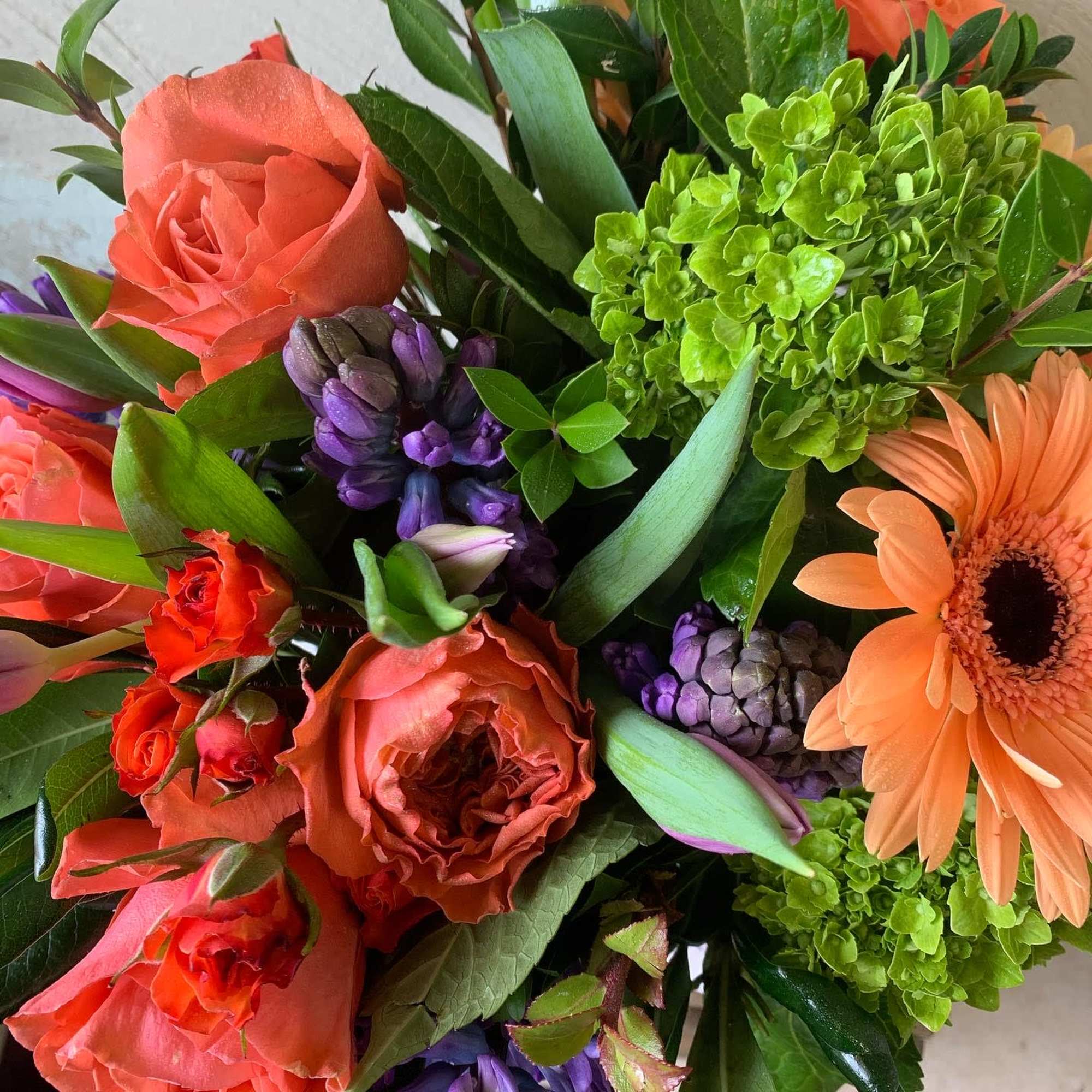 Bouquet of coral roses, purple hyacinth, and orange gerbera daisies