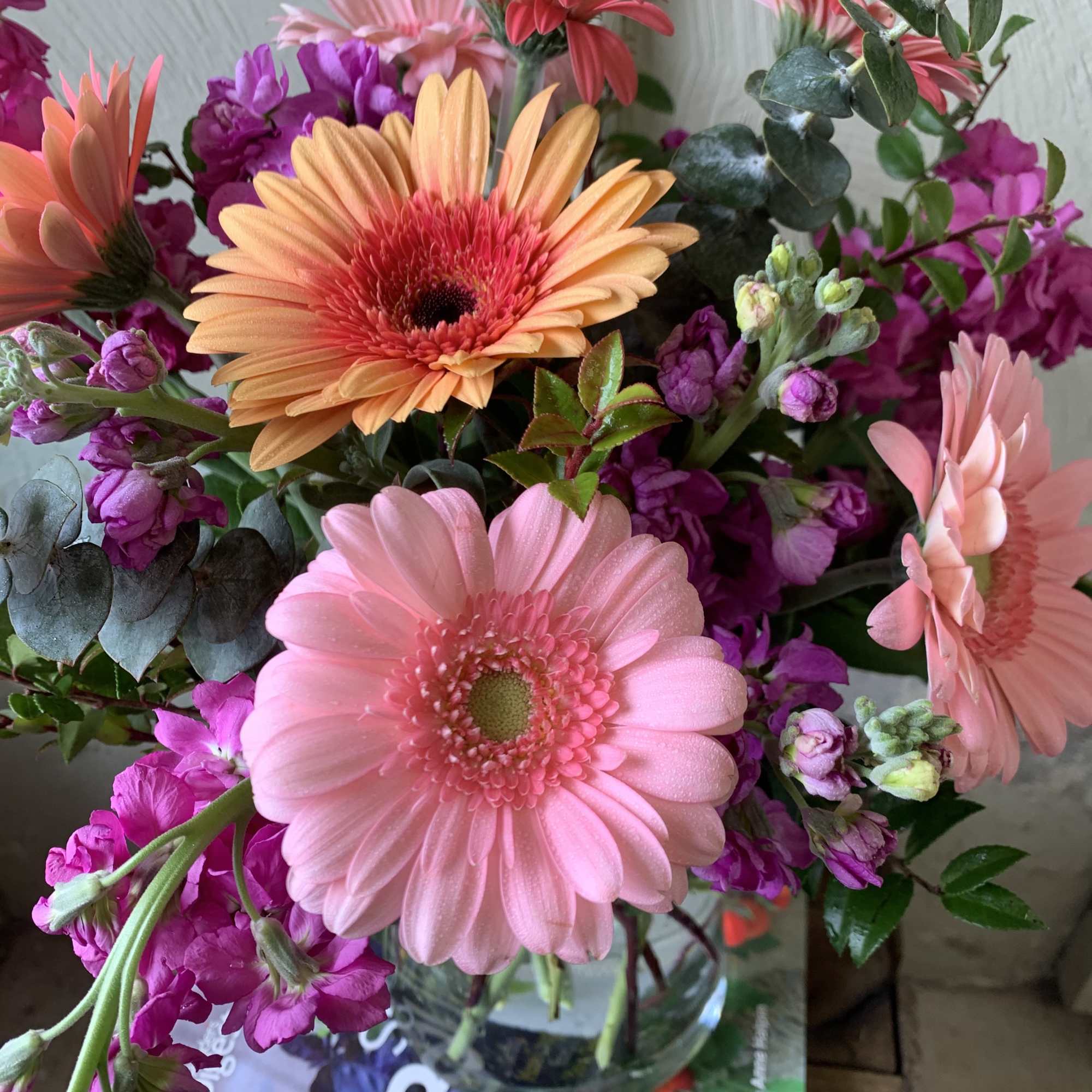 Assorted gerbera daisies and stock (color may vary on availability)Send some love, photo 2 of 2