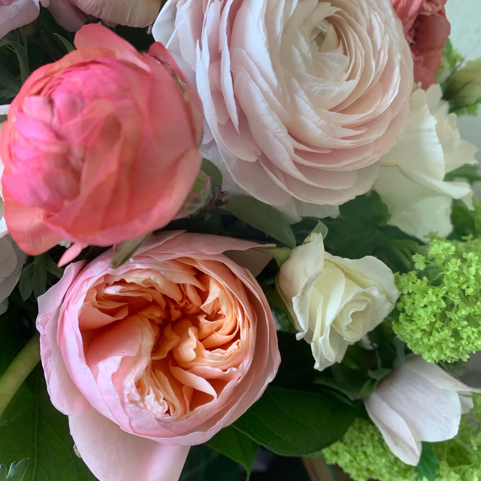Close-up bouquet of pink and white roses with green filler