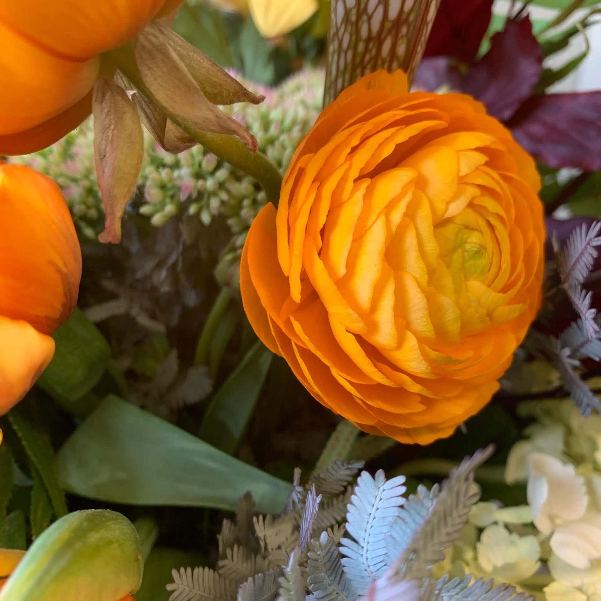 A collection of seasonal orange hues - calla lilies, ranunculus and , photo 4 of 4