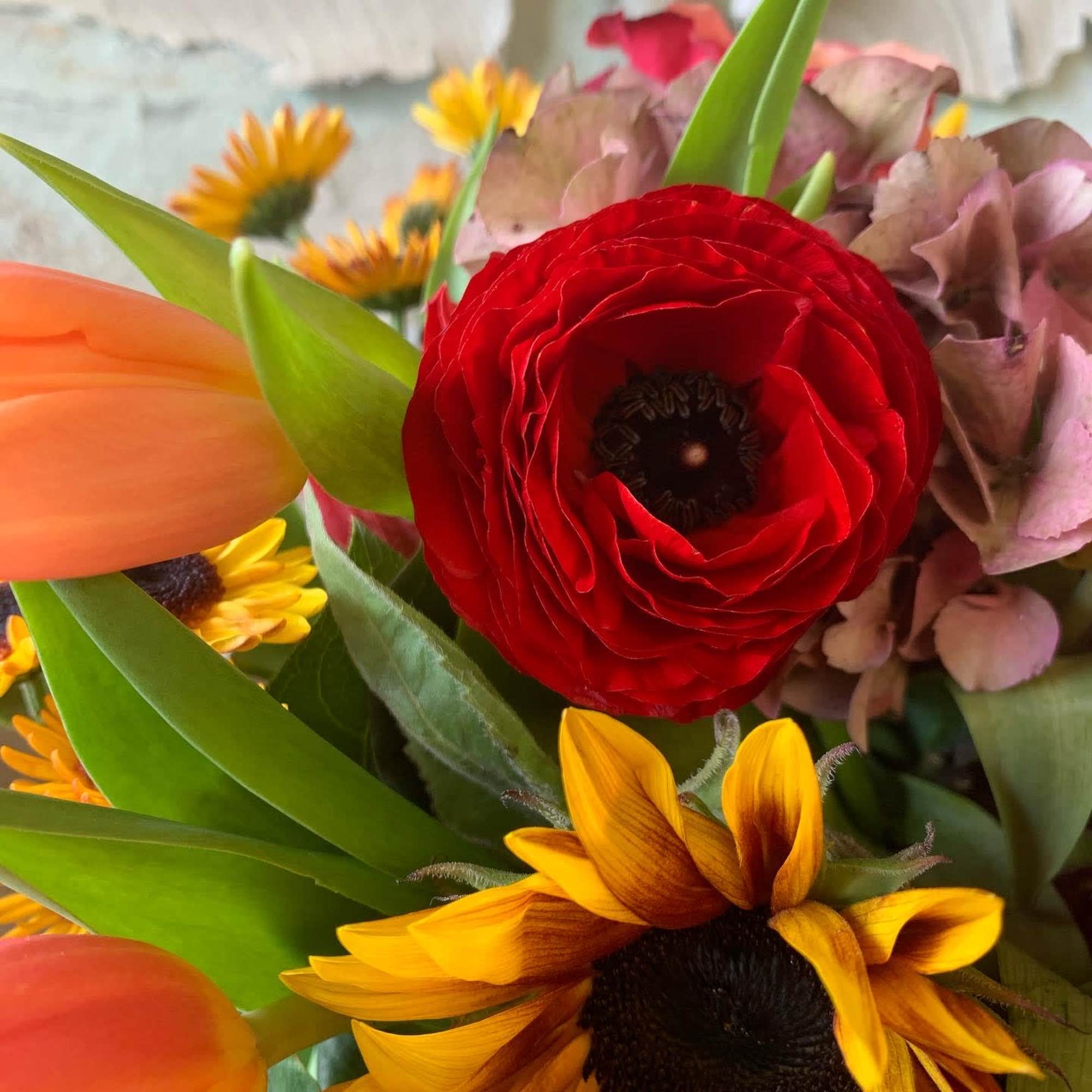 An enchanting display of sunflowers, ranunculus, mums and tulips. , photo 2 of 4