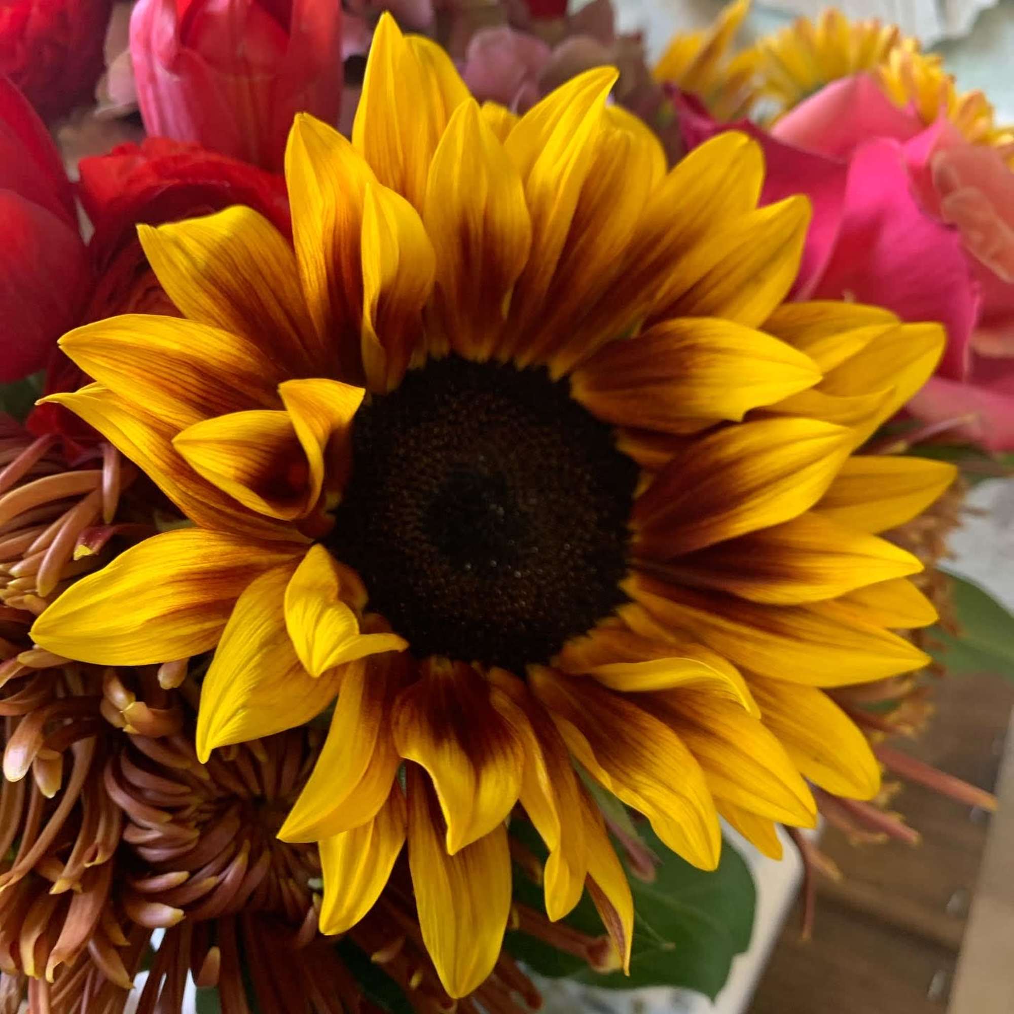 An enchanting display of sunflowers, ranunculus, mums and tulips. , photo 4 of 4