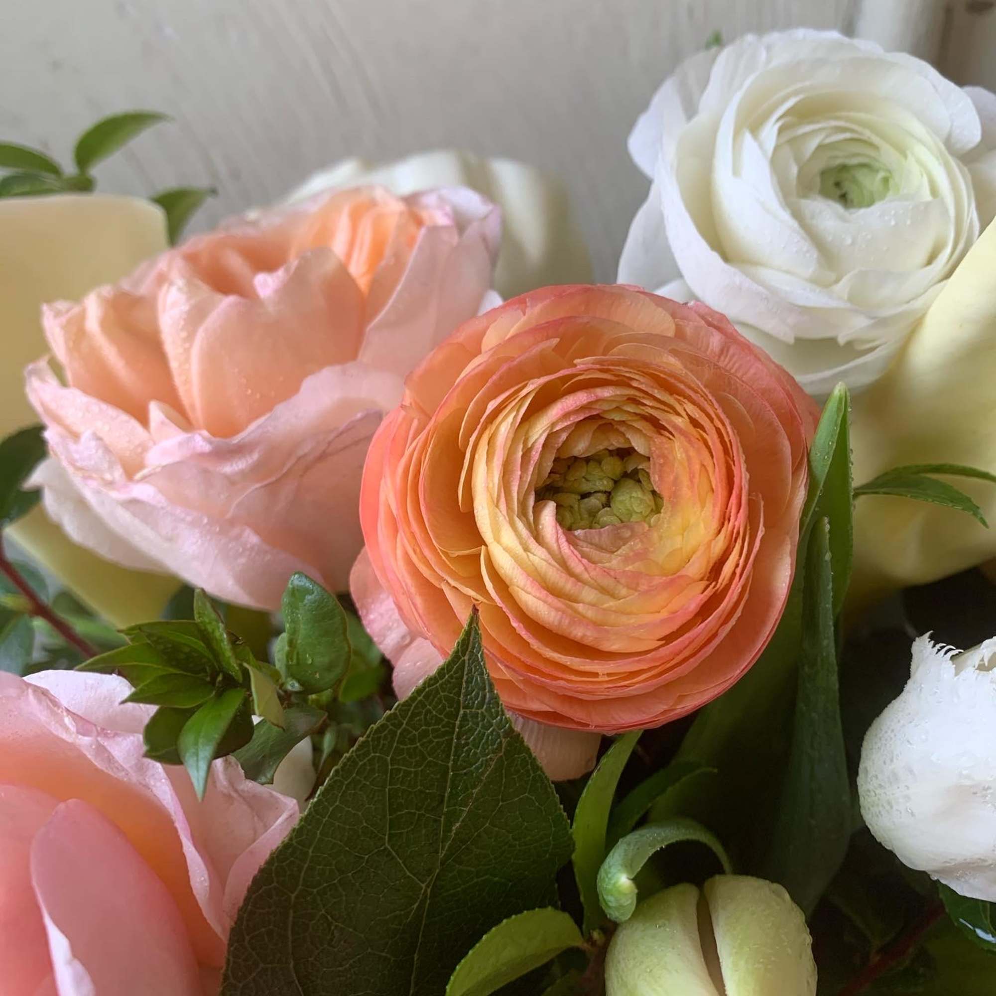 Close-up bouquet of peach, pink, and white blooms