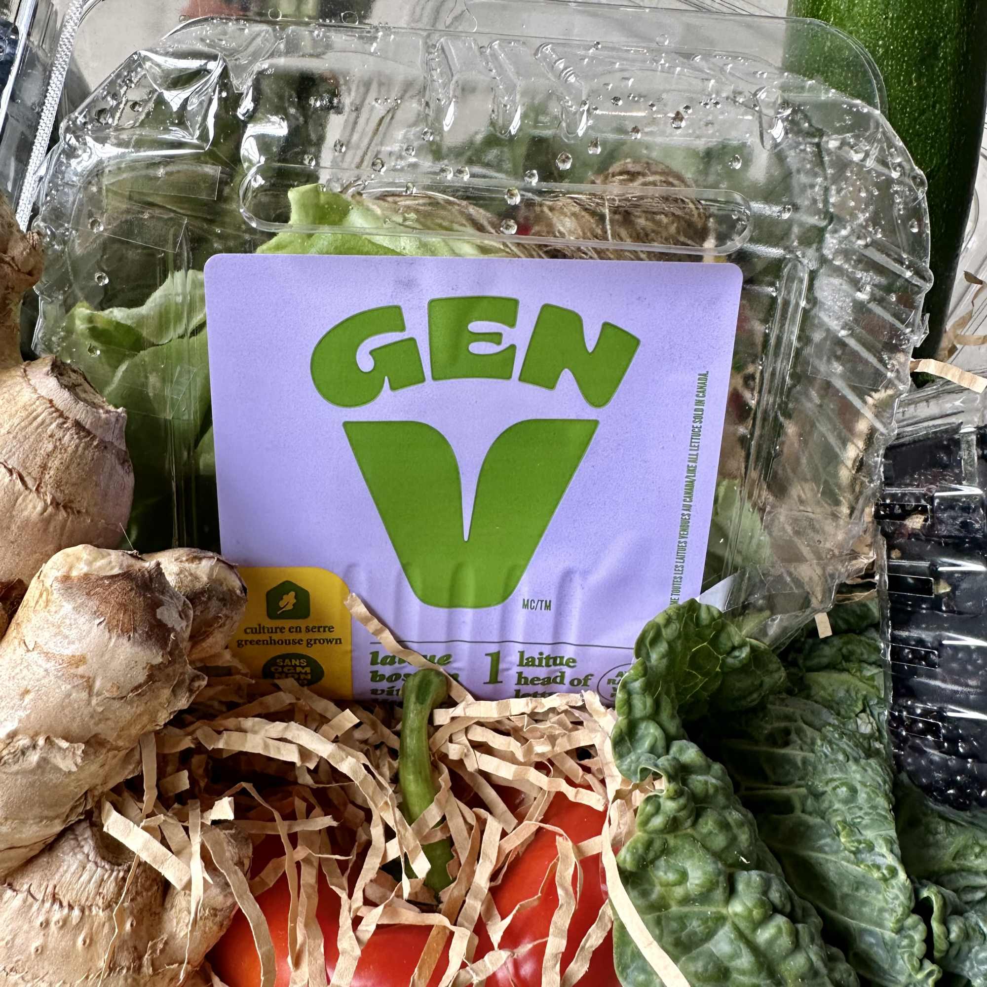 Assorted vegetables in plastic packaging, including lettuce, ginger, and peppers