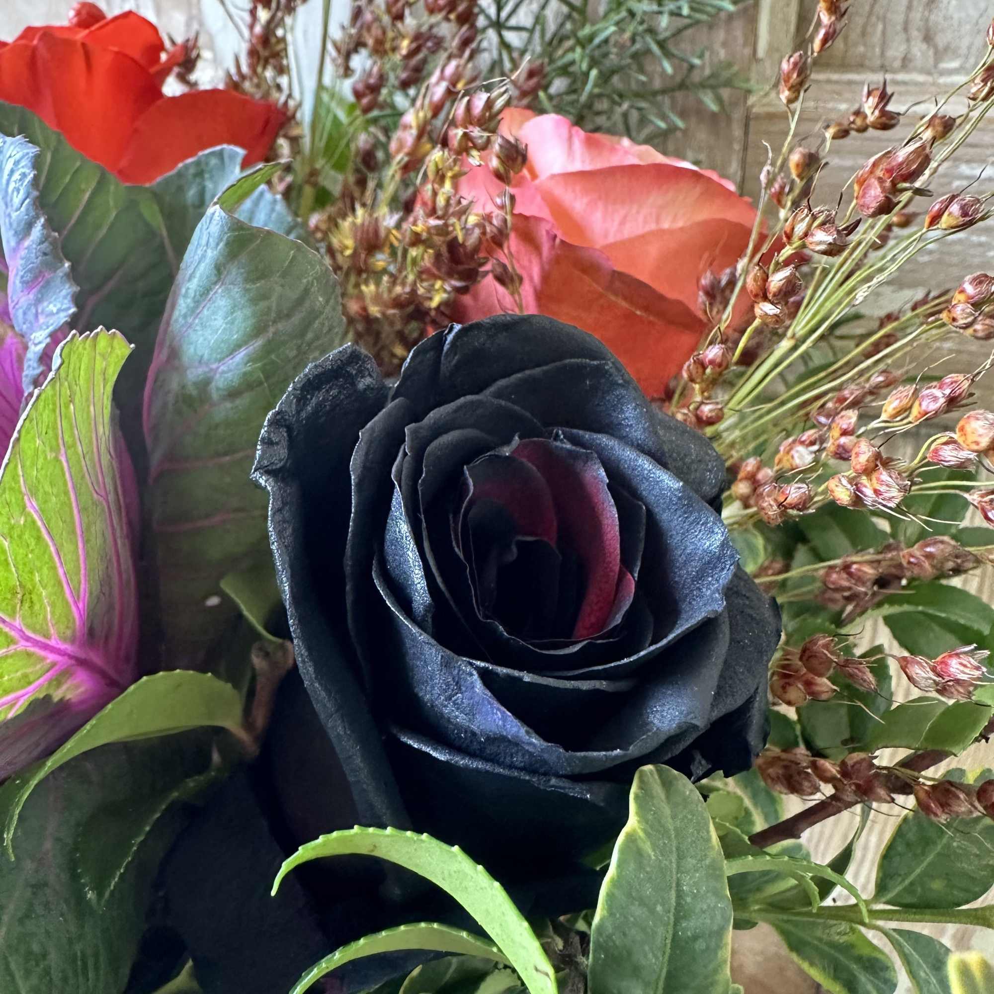 Enjoy this seasonal arrangement of black roses, kale and autumnal accents., photo 2 of 2