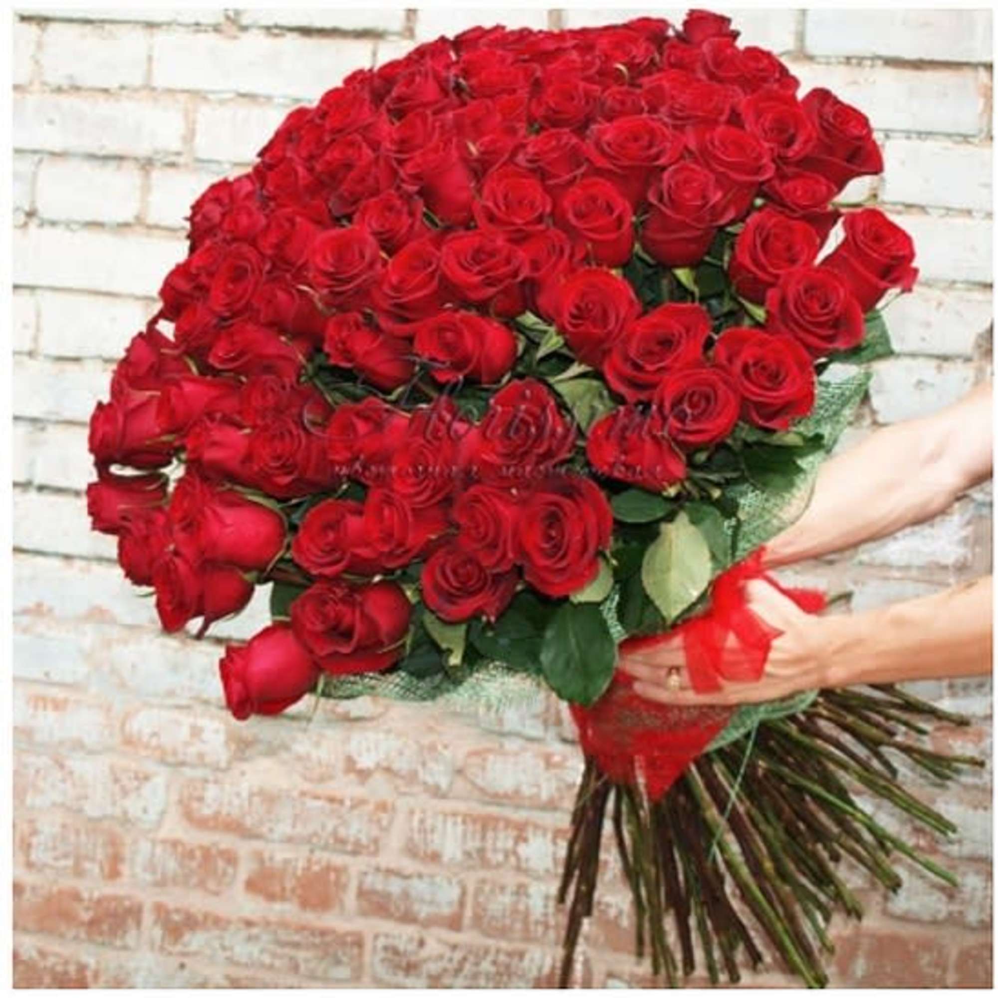 Large bouquet of red roses with a red ribbon wrap