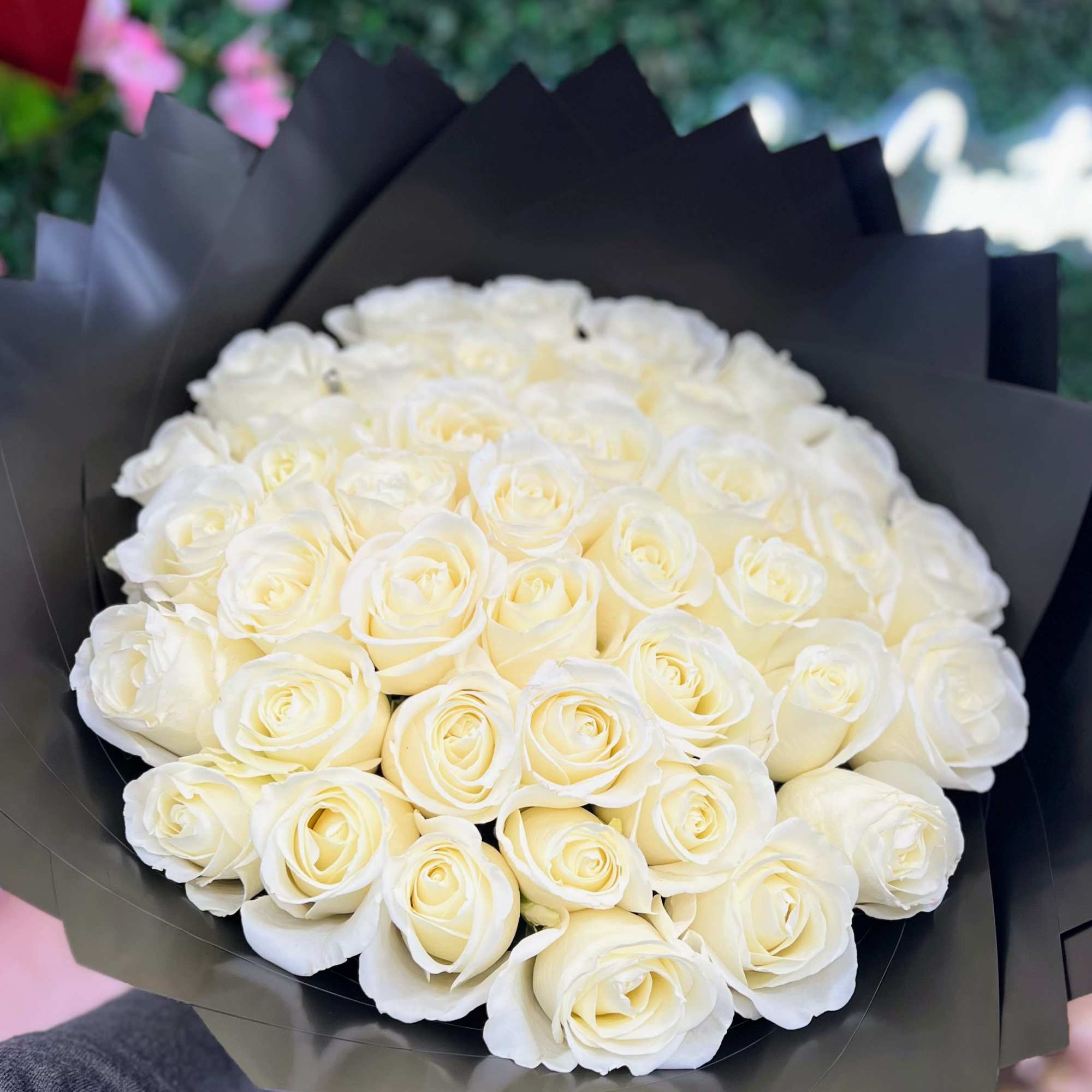 Large bouquet of ivory roses wrapped in angular black paper