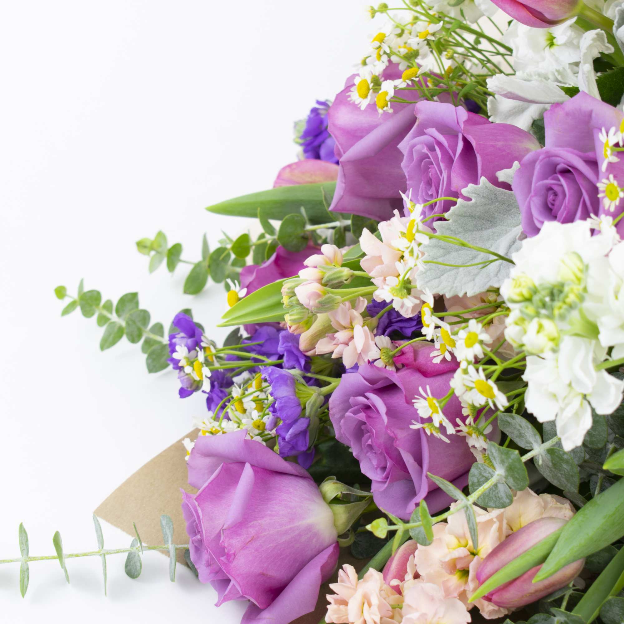 Bouquet of purple and white roses with small daisy-like flowers