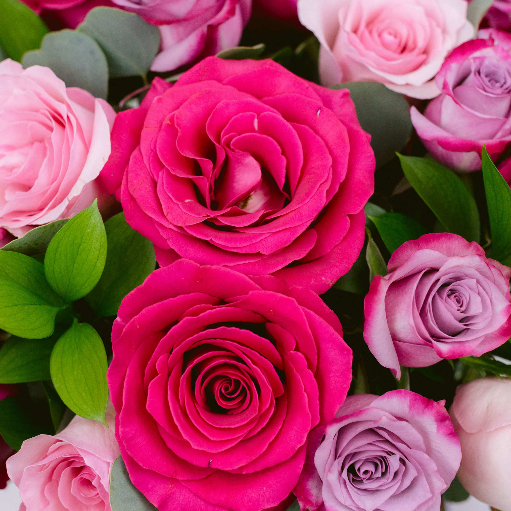 Bouquet of pink and lavender roses with green foliage