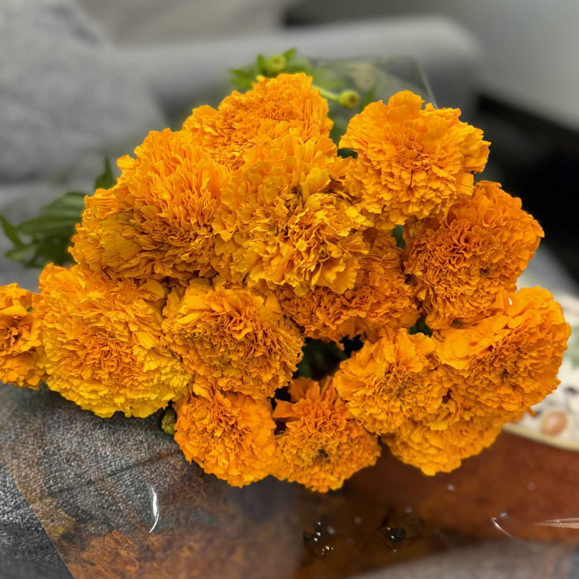 Available for a limited time at Tito&rsquo;s Flowers. Order yours today!
Celebrate tradition