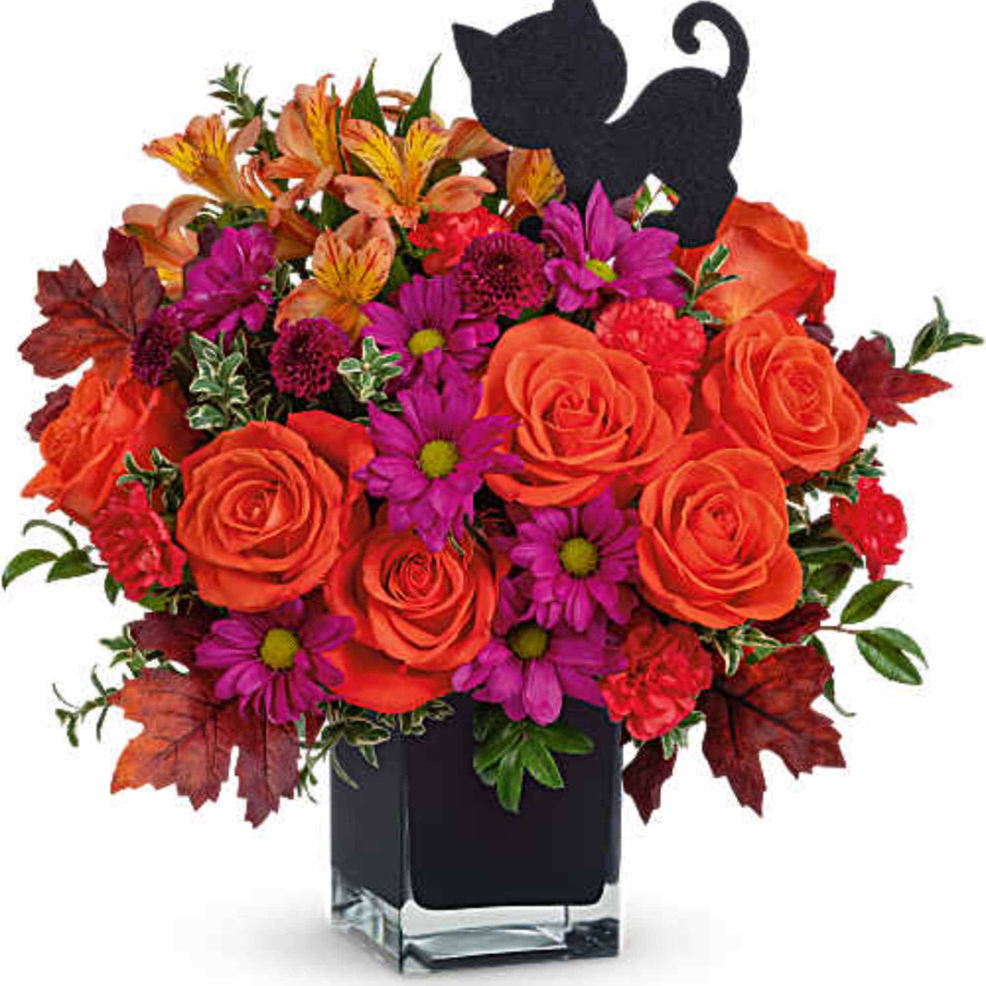Orange roses and purple daisies in a black vase with cat silhouettes