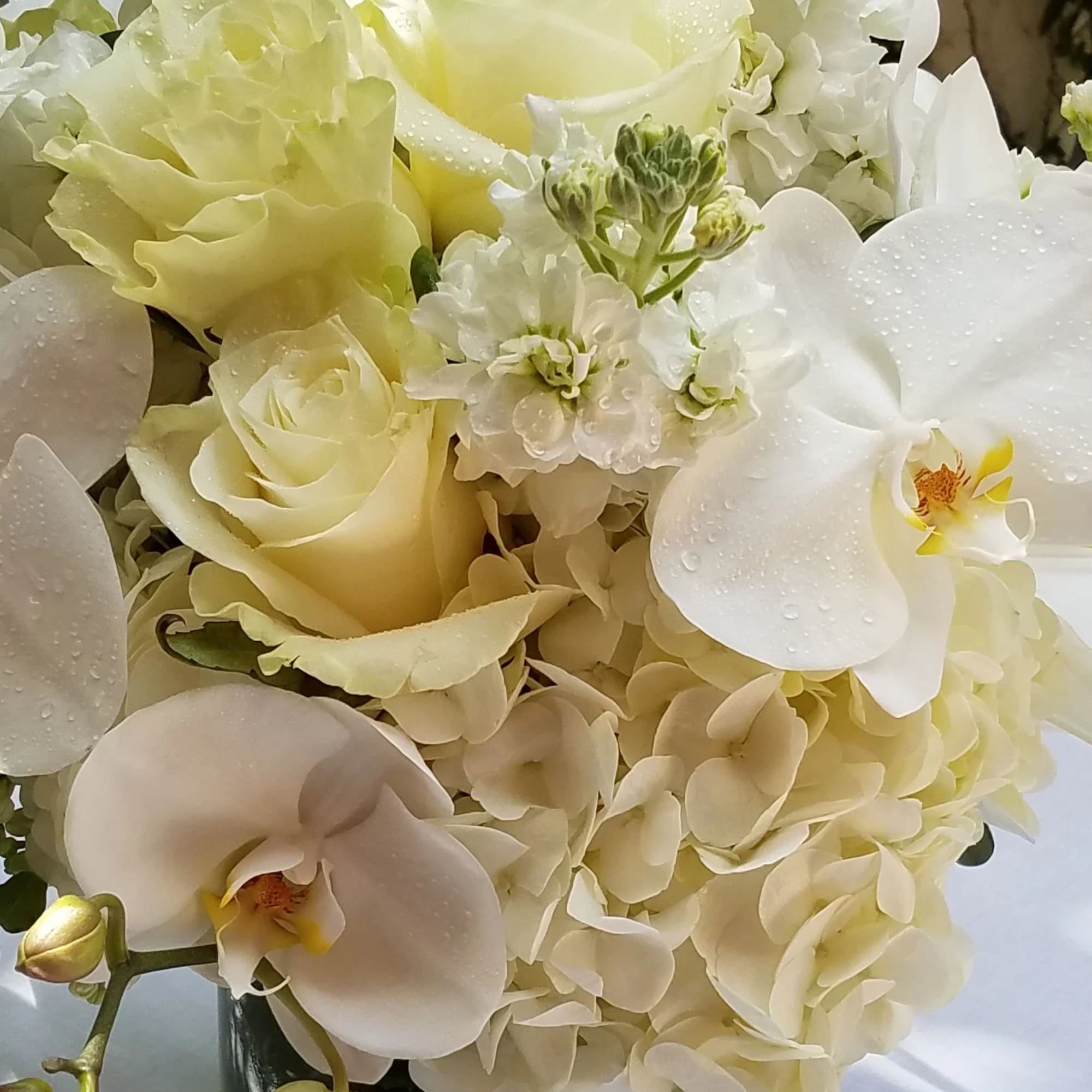 The epitome of elegance and romance. This all-white premium arrangement in a