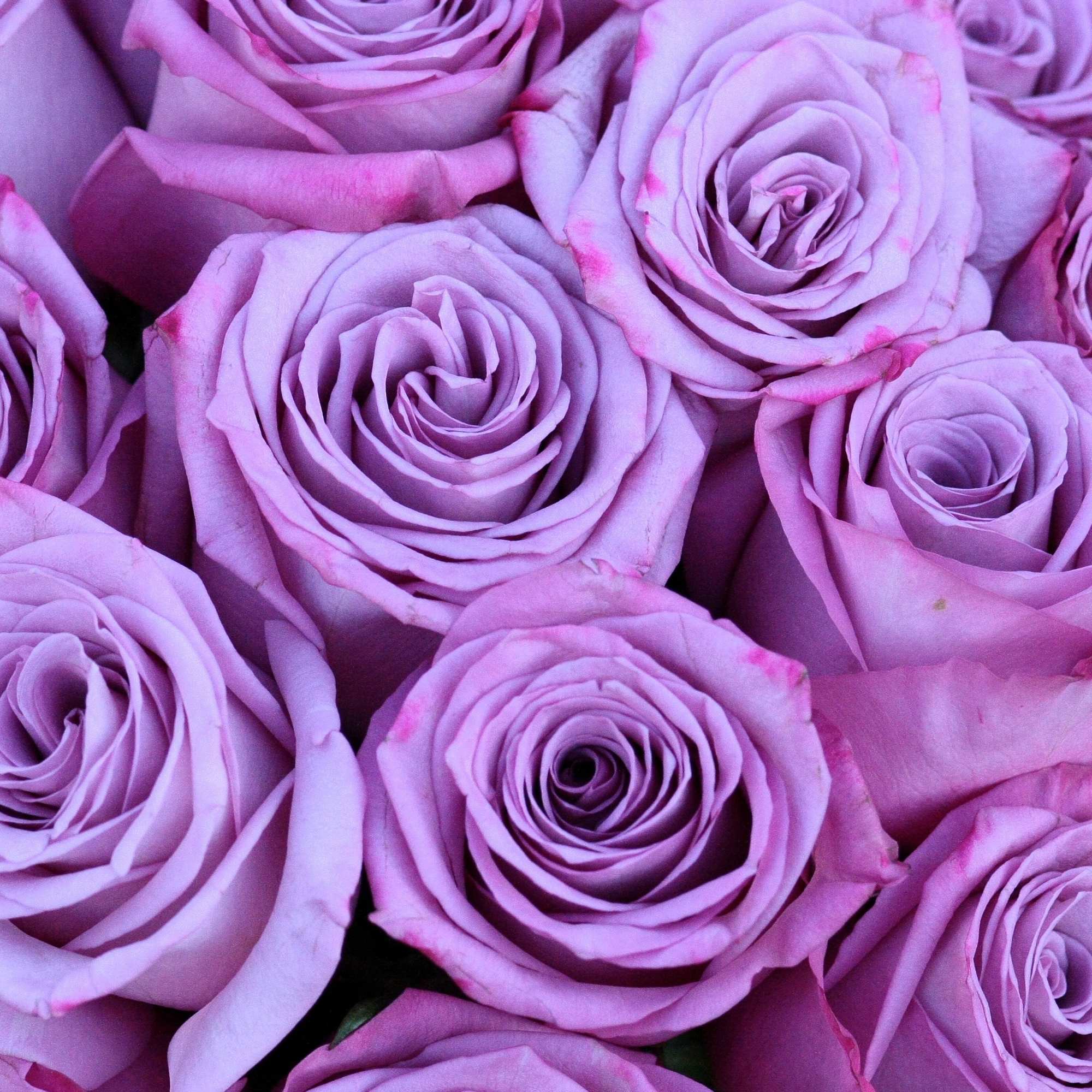 Beautiful and fragrant lavender roses arranged  in a glass vase. Extra, photo 2 of 3