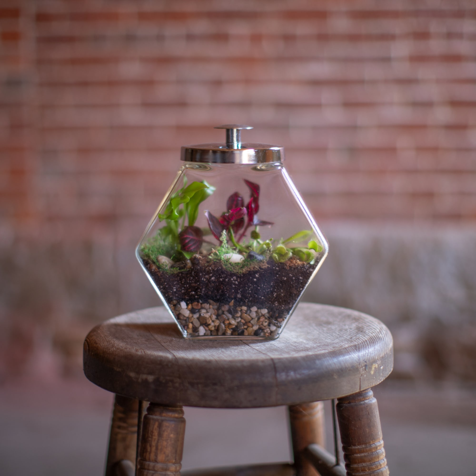 Small terrarium in a glass container on a wooden stool, photo 3 of 5