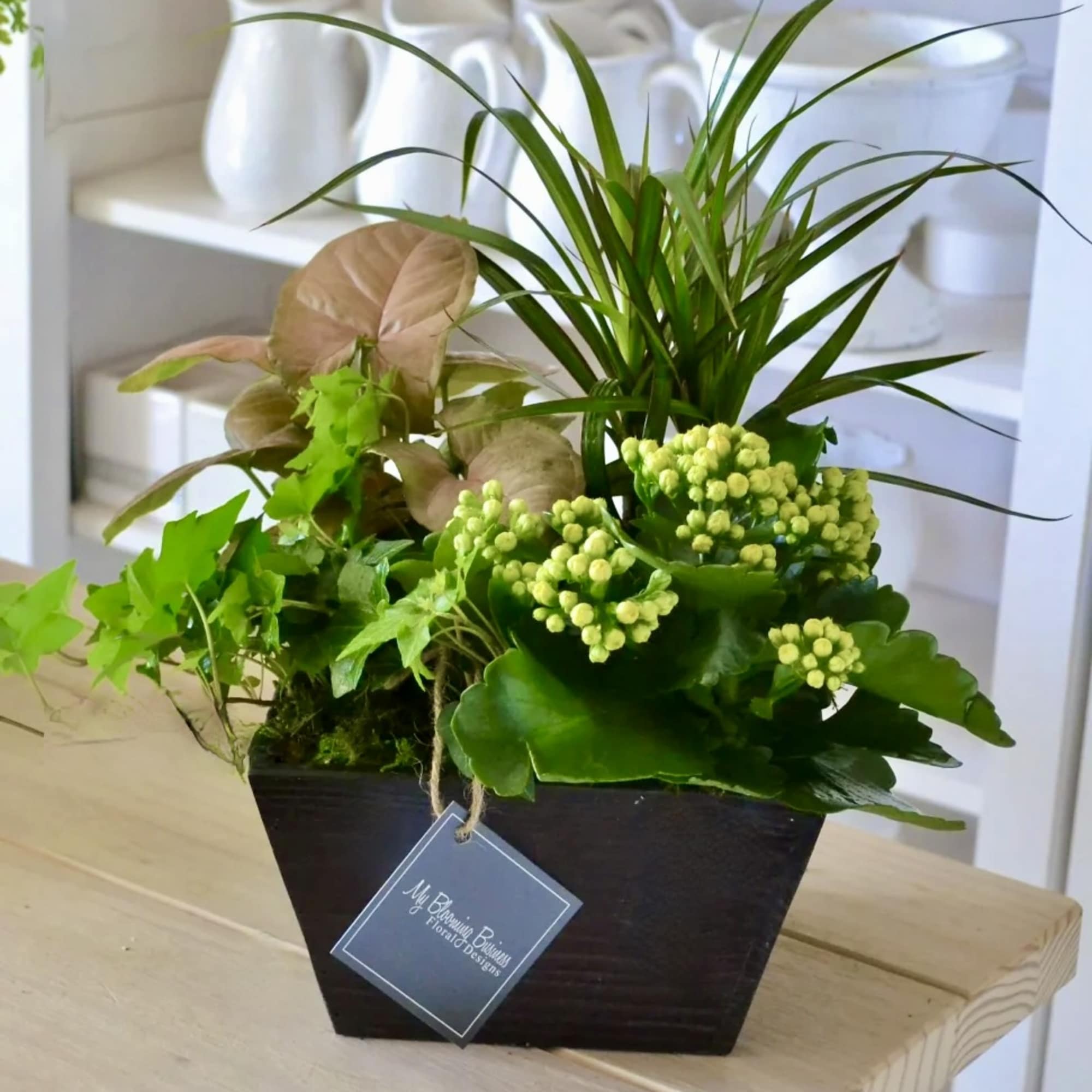 Not only is this box dish garden perfect for adding charming d&eacute;cor, photo 2 of 2