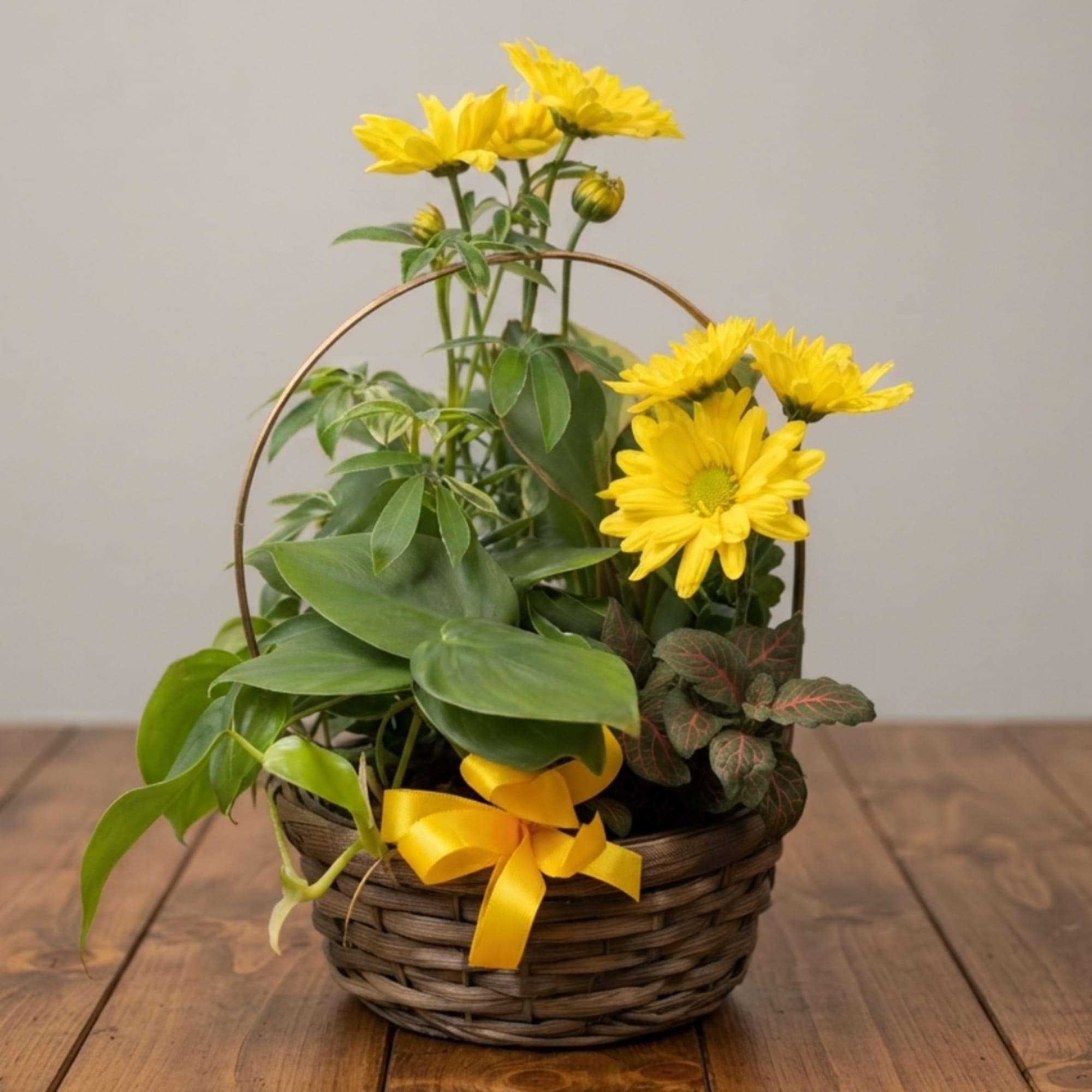 Yellow daisies and green houseplants in a wicker basket with a yellow ribbon