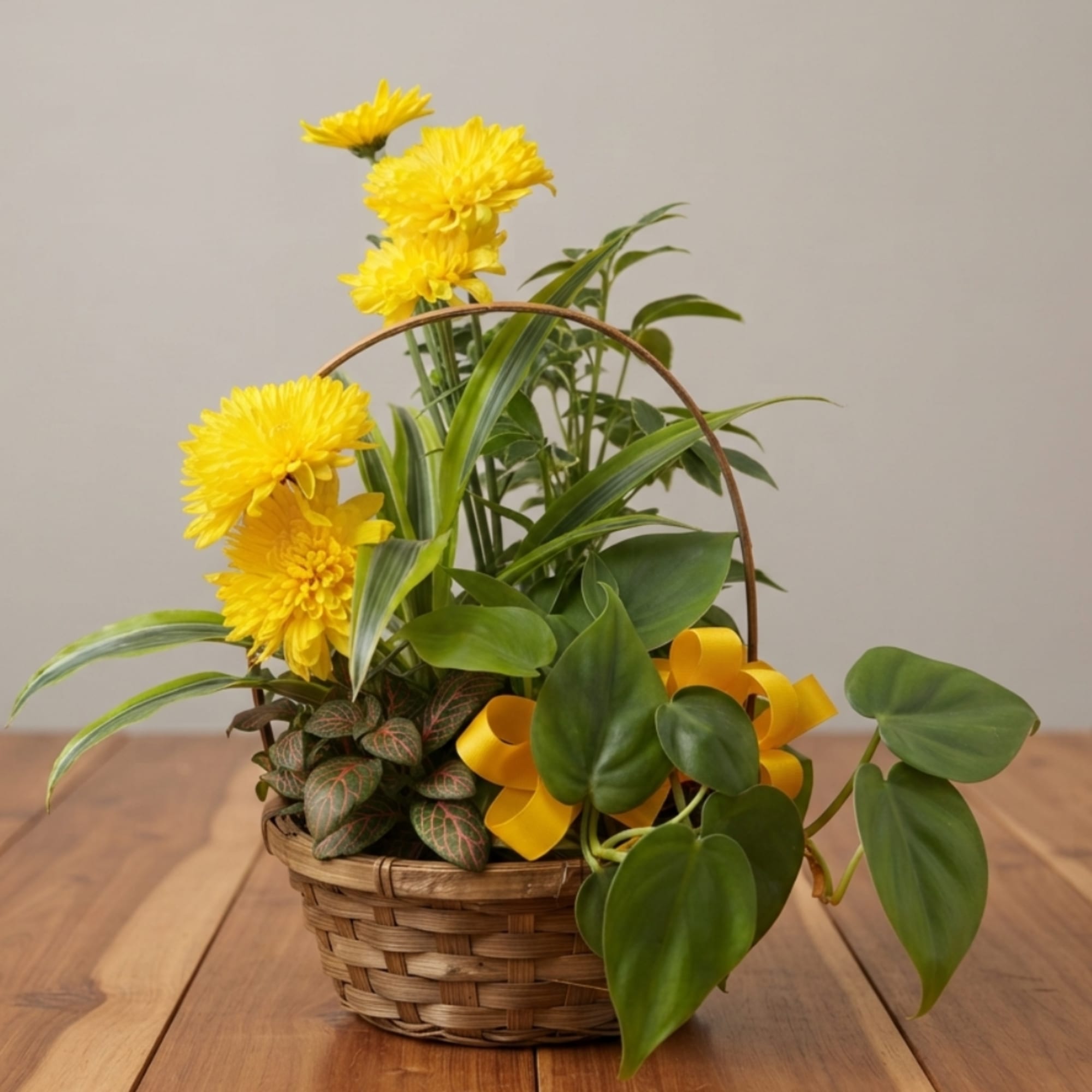 Yellow chrysanthemums in a wicker basket with assorted potted plants
