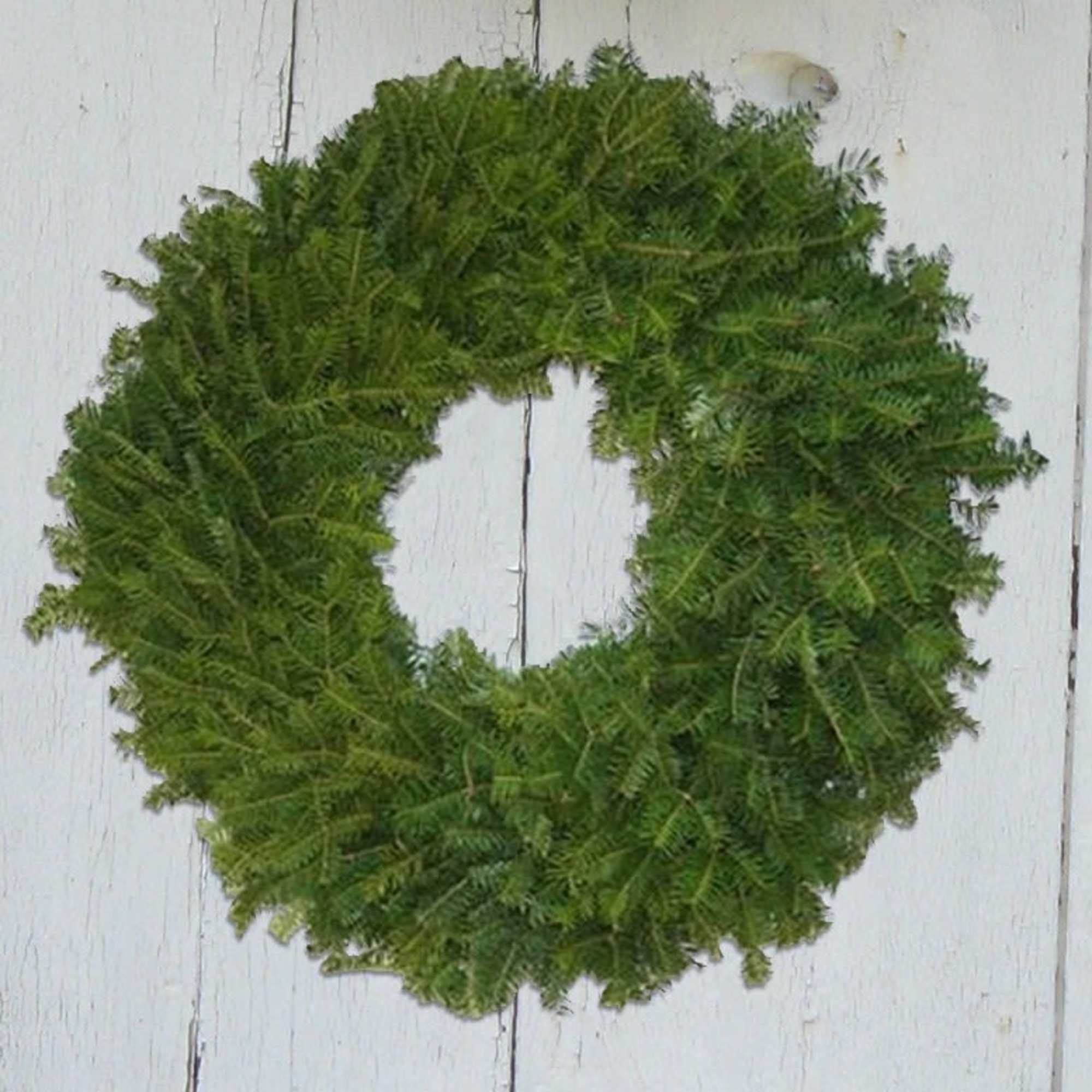 Green wreath made of fern-like foliage on a white wooden background