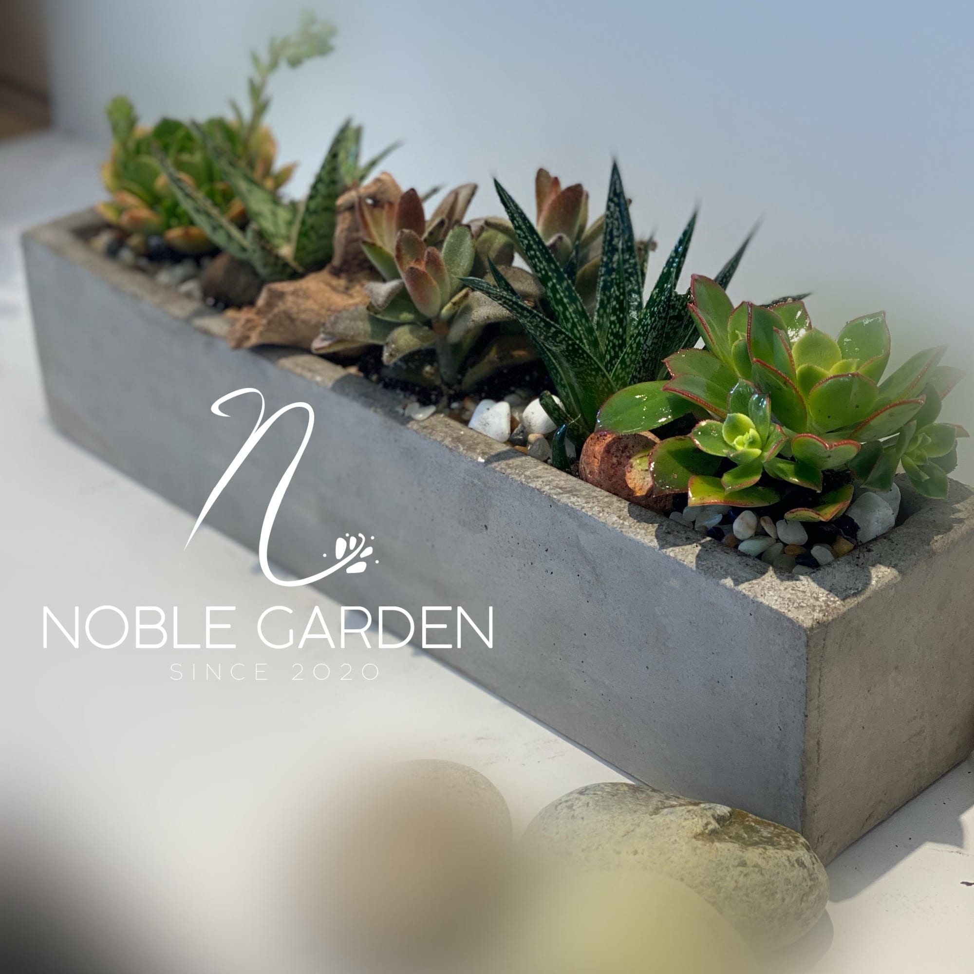 Rectangular concrete planter with assorted succulents and pebbles