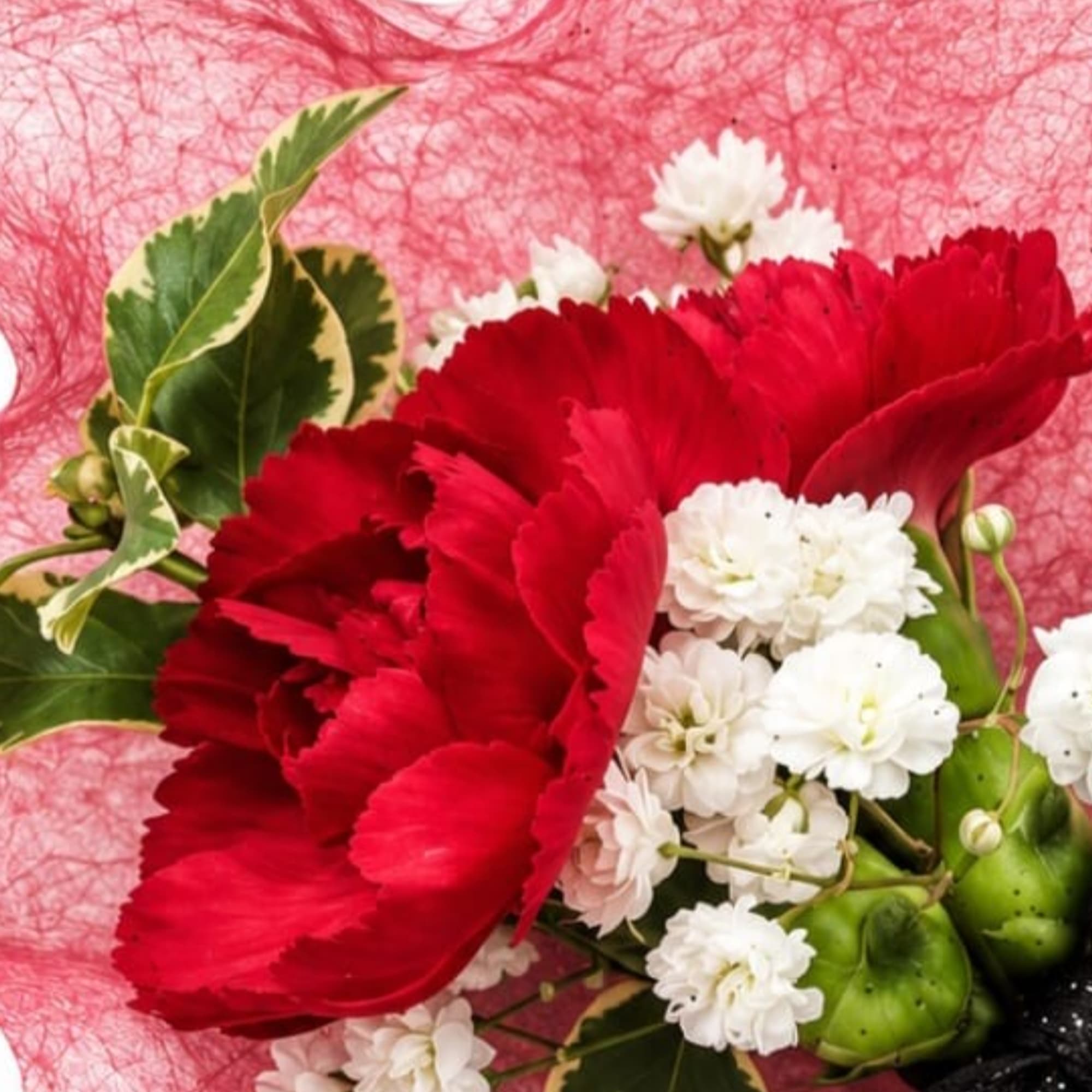 Red carnations with small white flowers and variegated leaves on pink wrap