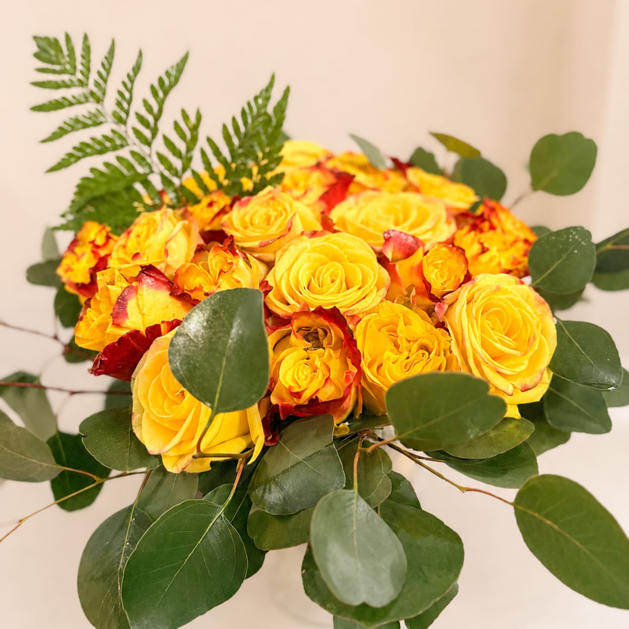 A sunlit cluster of yellow roses with red-edged petals makes a bright, photo 2 of 2