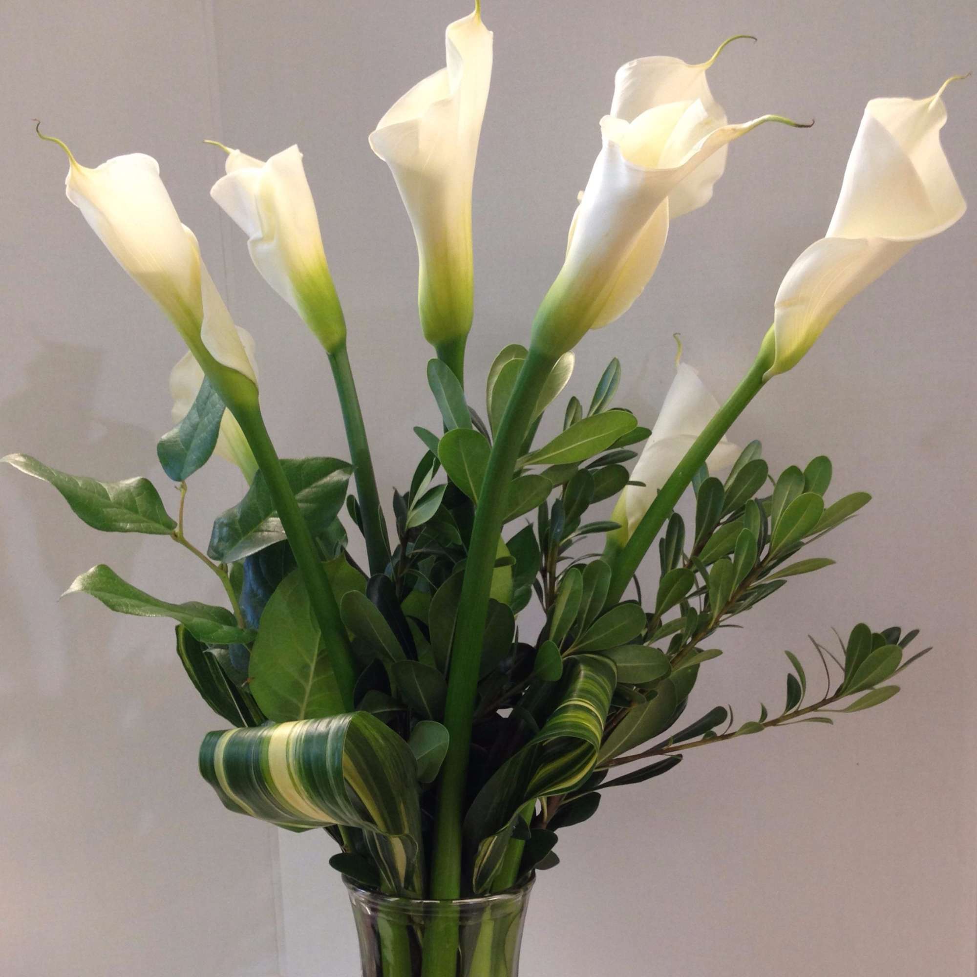 Tall white calla lilies with lush green foliage in a clear glass vase