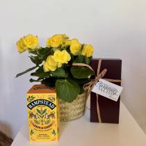 Limited! Blooming Gift Set