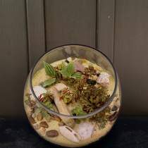 Glass bowl terrarium with small succulents, sand, shells, and pebbles