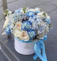 Peonies, hydrangeas, stock