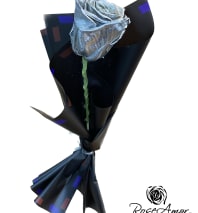 Forever Roses  