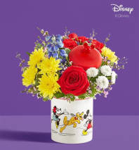 Just Because Flowers Delivery Silver Spring MD - Colesville