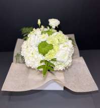 ELEGANCE IN NATURE by Ray