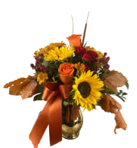 CTT69-11by Floral Expressions