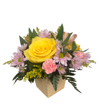 CTT6-11by Floral Expressions