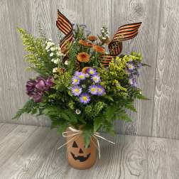 Jack-o’-Lantern Wildflower