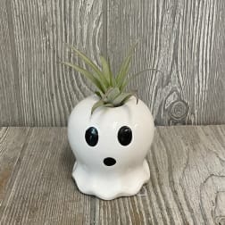 Air plant in a white ghost-shaped ceramic planter