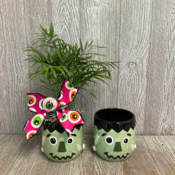 Small potted palm in a Frankenstein mug with a Halloween ribbon beside a matching mug