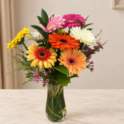 Colorful gerbera daisy bouquet in a clear glass vase