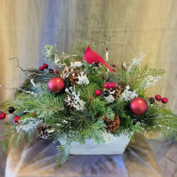 Holiday arrangement with pine, pinecones, red ornaments, and a red bird in a white container