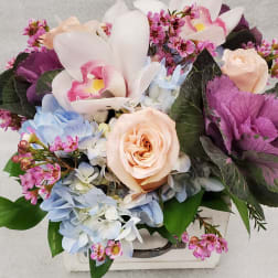 Mixed bouquet with pale roses, orchids, and blue hydrangeas in a white container