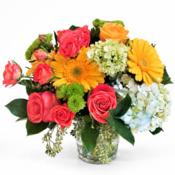 Mixed bouquet of roses, gerbera daisies, and hydrangeas in a glass vase