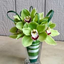Green orchids arranged in a clear glass vase