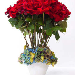 Red Roses Standing Tall