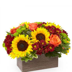 Sunflowers, orange roses, and burgundy mums in a wooden box