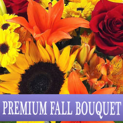 Premium Fall Designer's Choice