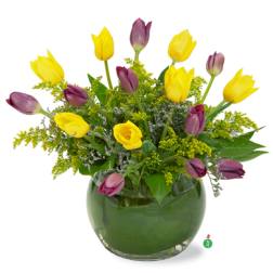 Touch of Tulips